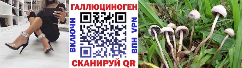 купить наркотики цена Ува Галлюциногенные грибы ЛСД